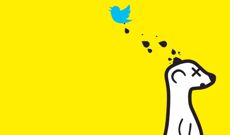 Meerkat: Angeschissen? Drauf geschissen!