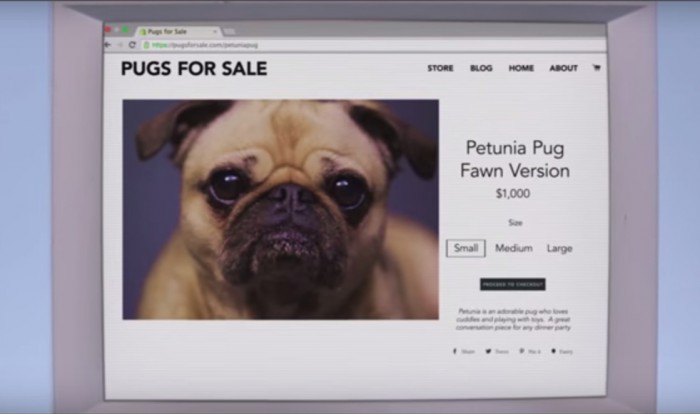 Anfänge von E-Commerce: Pizza, Weed oder Sting-CD – Was ging zuerst über die virtuelle Theke?