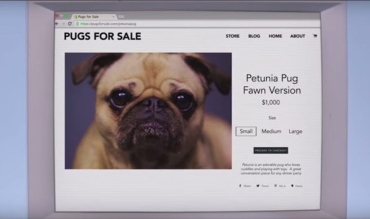 Anfänge von E-Commerce: Pizza, Weed oder Sting-CD – Was ging zuerst über die virtuelle Theke?