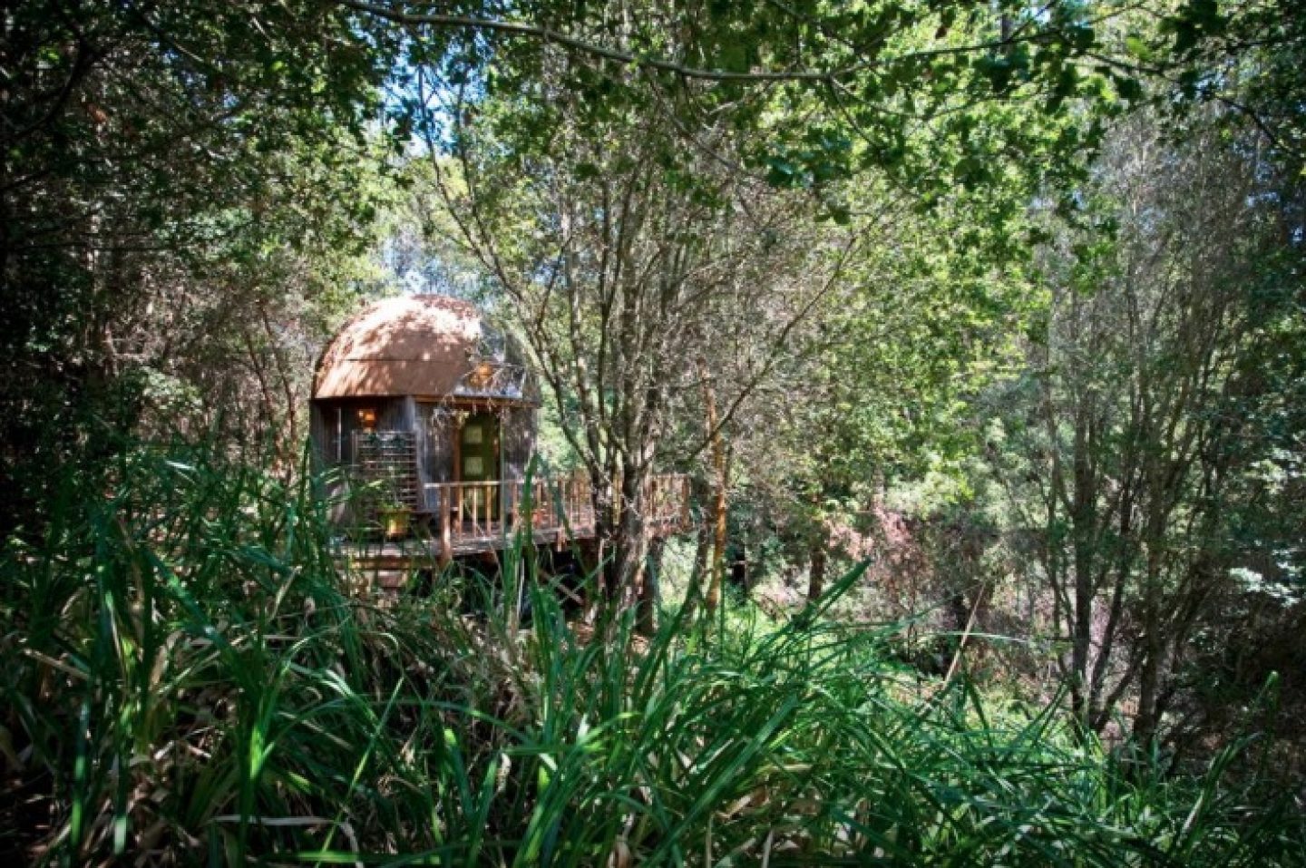 Lust auf Urlaub in Kalifornien? Das ist die angesagteste Unterkunft auf Airbnb