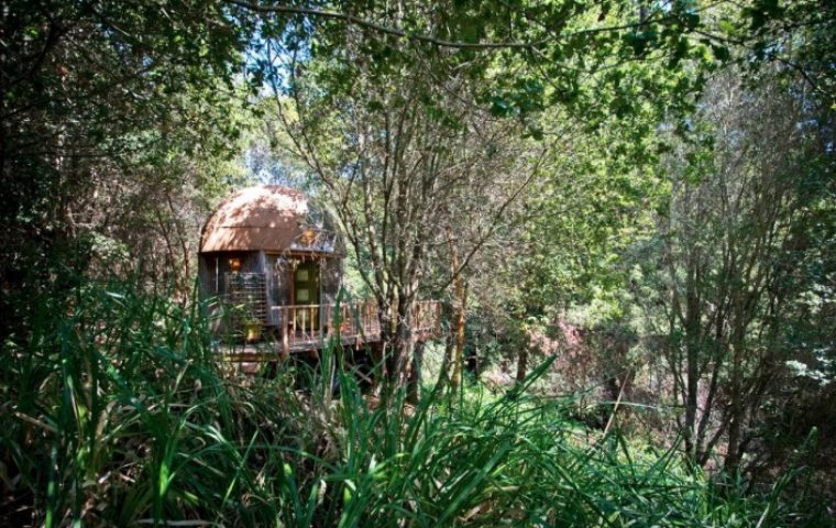 Lust auf Urlaub in Kalifornien? Das ist die angesagteste Unterkunft auf Airbnb