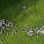 Drohnen-Fotos