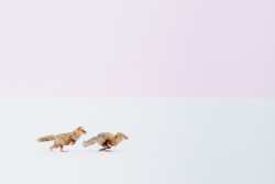 Reisebilder