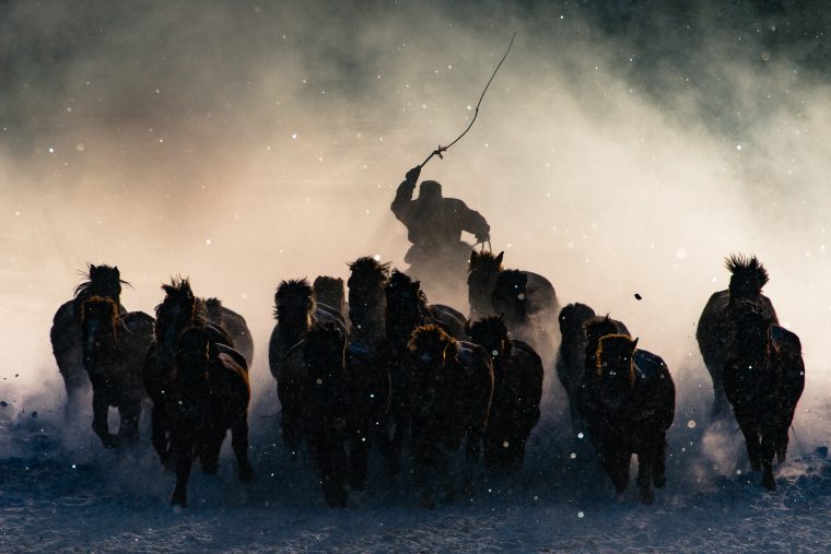 Travel Photographer of the Year 2016: So sehen die Sieger aus
