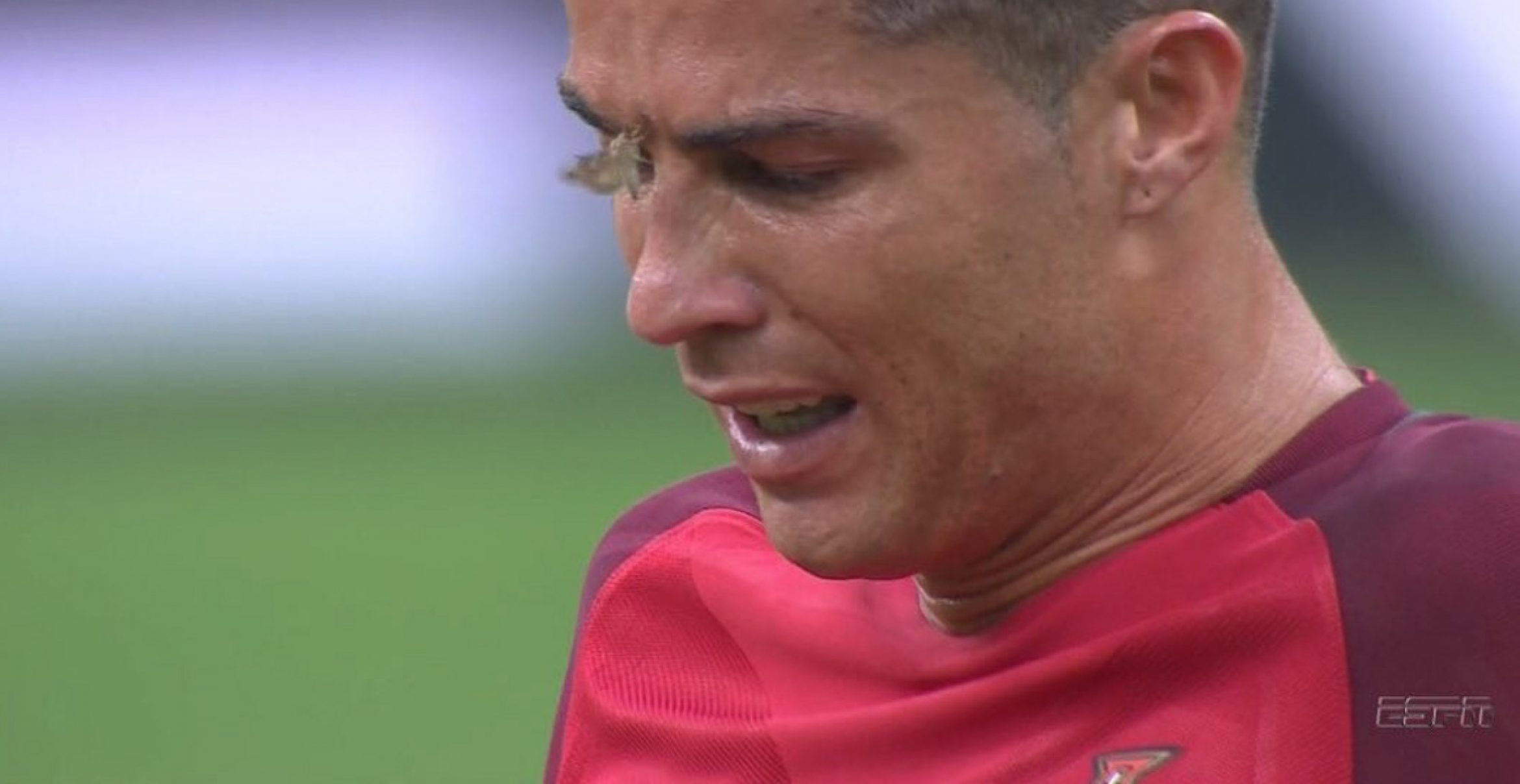 Der wahre Star des EM-Finales: Ronaldos Motte startet jetzt auf Twitter durch