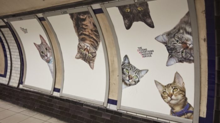 In dieser U-Bahnstation hängen keine Werbeplakate, sondern Katzenbilder