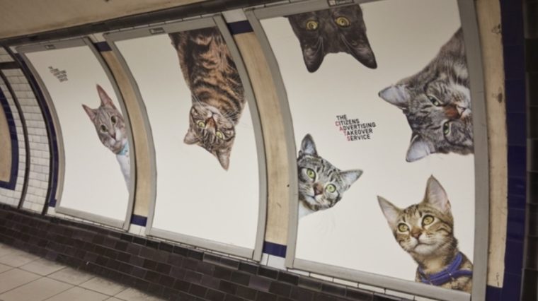 In dieser U-Bahnstation hängen keine Werbeplakate, sondern Katzenbilder