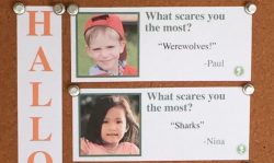 what-scares-you-most-dylan