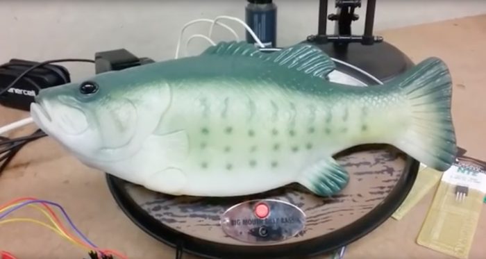 #powerhack: Die Lautsprecher-Assistentin Alexa von Amazon als sprechender Fisch
