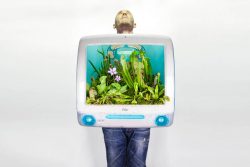 Monsieur Plant