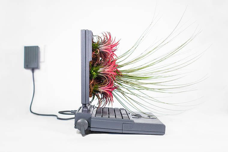 Monsieur Plant: Dieser Künstler verwandelt alte Mac Computer in Pflanzentöpfe