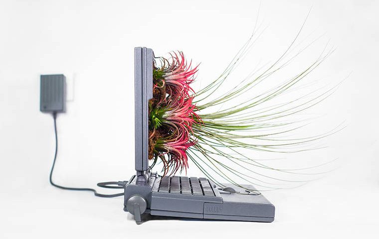 Monsieur Plant: Dieser Künstler verwandelt alte Mac Computer in Pflanzentöpfe