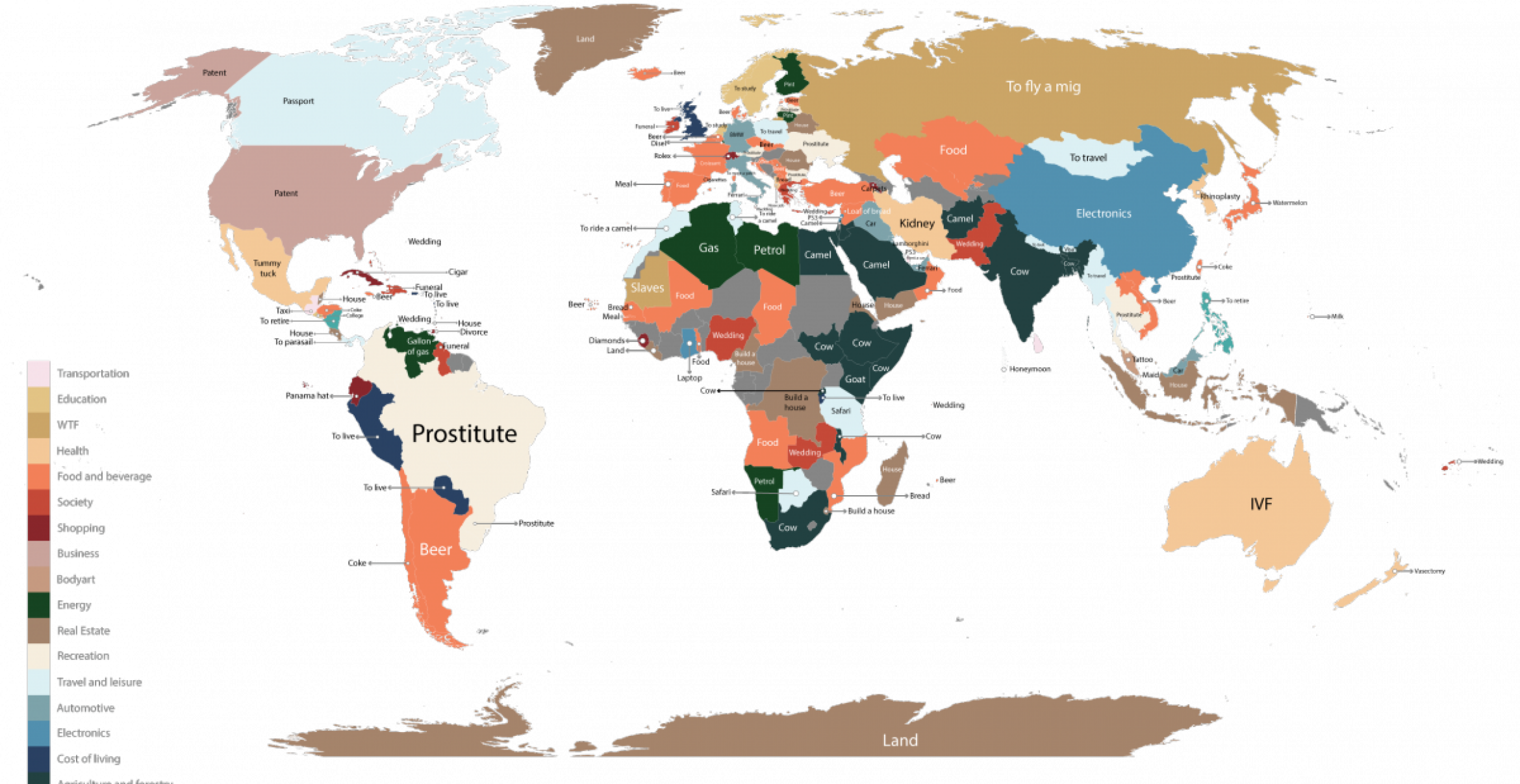 Nasenkorrektur, Kamele und “MIG fliegen“: Das sind die meist gesuchten Begriffe bei Google in einer Weltkarte