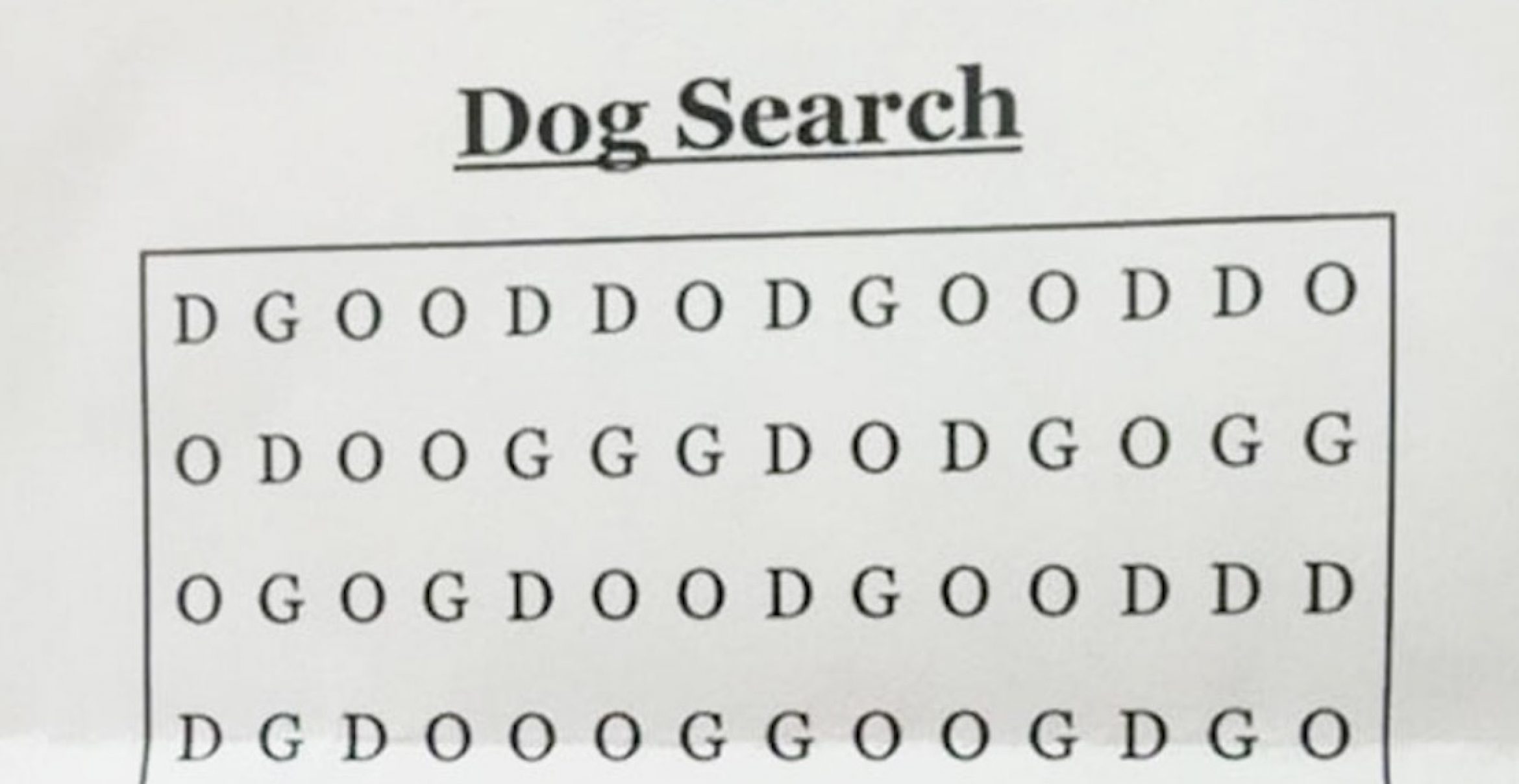 Rätsel zum Wochenende – findest du das Wort “DOG“ im Bild?