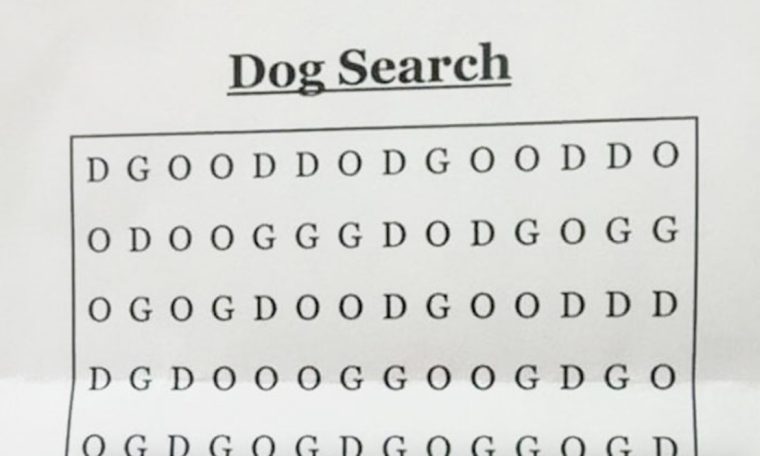 Rätsel zum Wochenende – findest du das Wort “DOG“ im Bild?