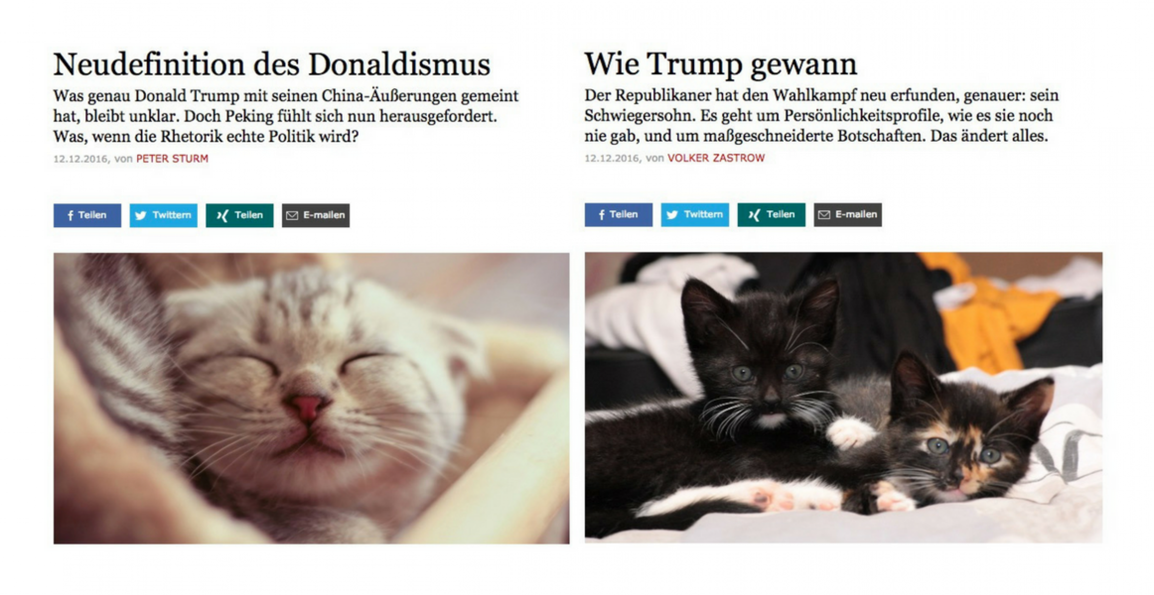 Diese Google-Chrome-Erweiterung ersetzt Donald Trump Inhalte mit Katzen-Fotos