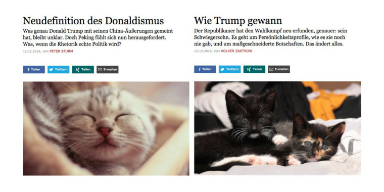 Diese Google-Chrome-Erweiterung ersetzt Donald Trump Inhalte mit Katzen-Fotos