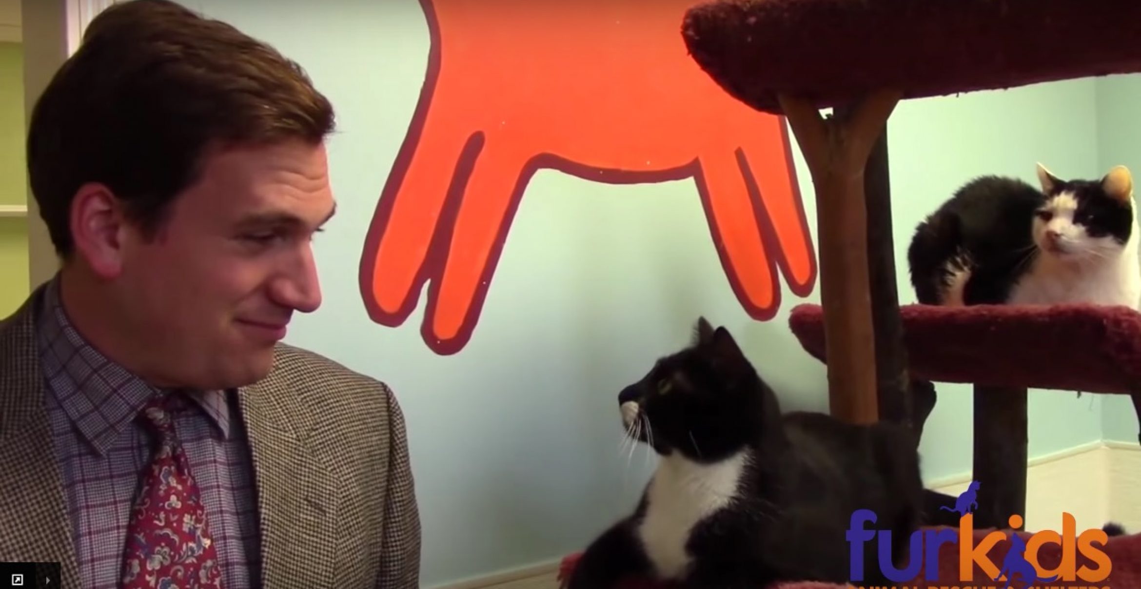 Dieses Tierheim produziert ein selbstgedrehtes Werbevideo – und geht damit viral