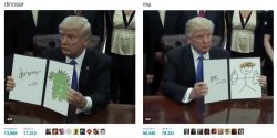Trump Draws