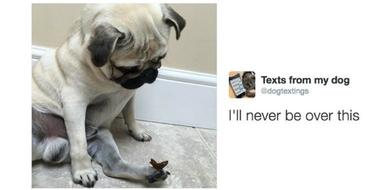 Gute Vibes: Zehn Tweets, bei denen uns warm ums Herz wird