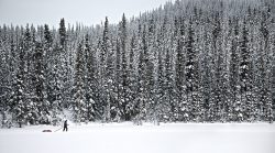 Yukon