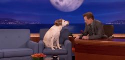 goslinggate-ryan-gosling-conan-obrien