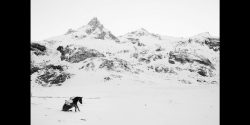 Sony World Photography Awards 2017