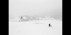 Sony World Photography Awards 2017