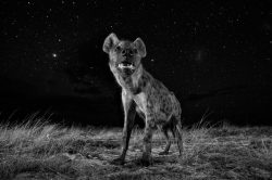 Sony World Photography Awards 2017