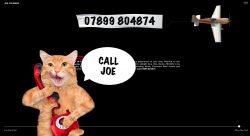 Joe Coleman Website
