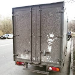 Dirty Car