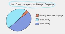 Honest Travel Graphs