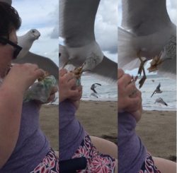 Beach Fail
