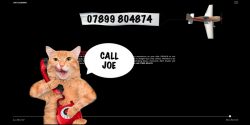Joe Coleman Website