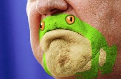 Trump Frog