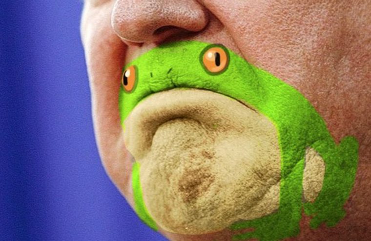 Erkenntnis der Woche: Donald Trumps Kinn sieht aus wie ein Frosch