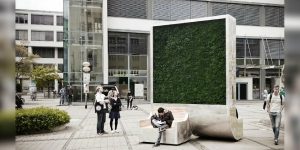 Citytree