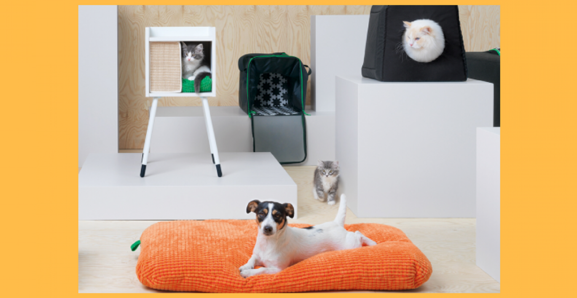 Ikea bringt eine neue Kollektion für Haustiere auf den Markt