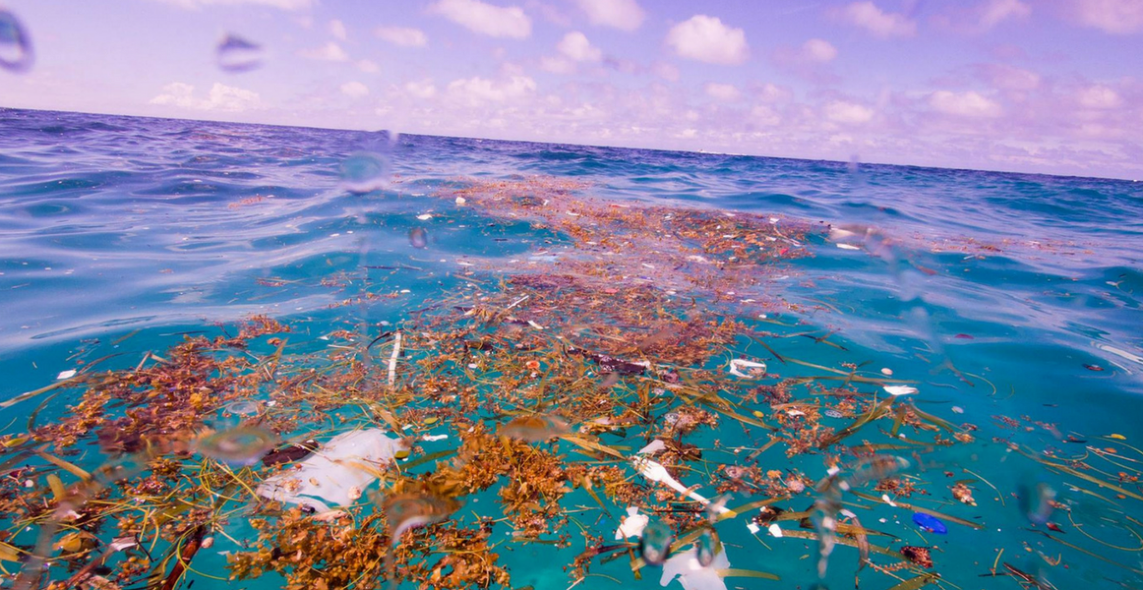 Fotografin entdeckt riesige Mengen Plastikmüll in der Karibik