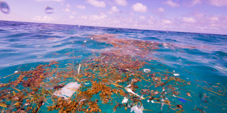 Fotografin entdeckt riesige Mengen Plastikmüll in der Karibik