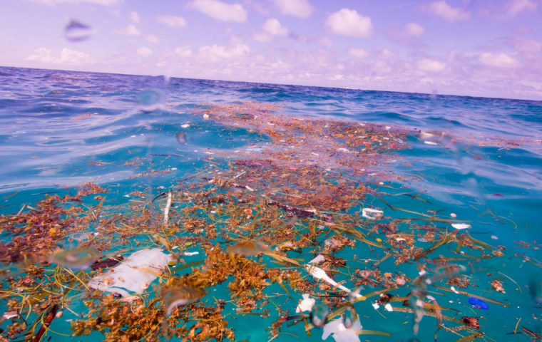 Fotografin entdeckt riesige Mengen Plastikmüll in der Karibik