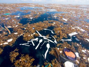 Plastik Müll Karibik Caroline Power