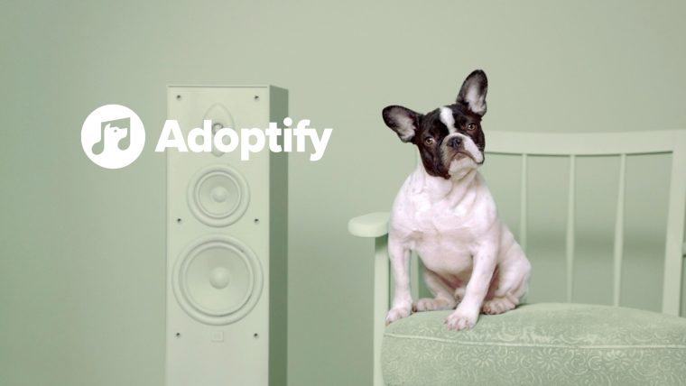 Adoptify matcht Herrchen und Hund mit gleichem Musikgeschmack
