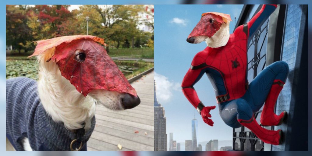 photoshop-battle
