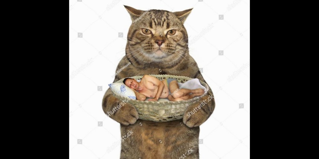 15 Stock Photos, die fast schon Avantgarde sind
