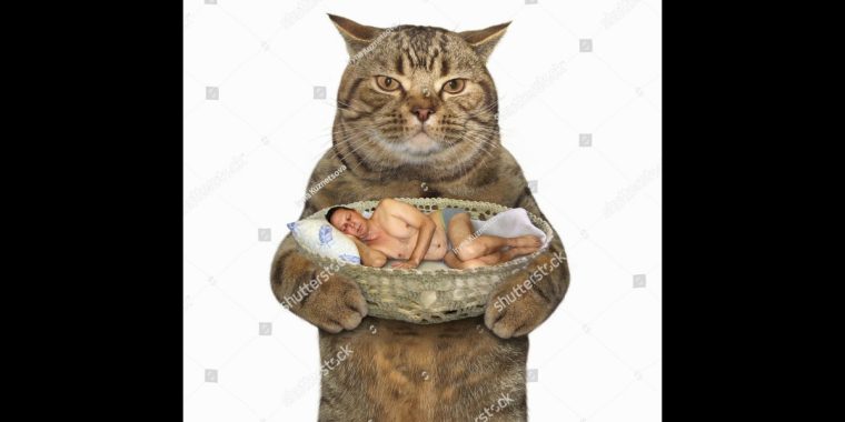 15 Stock Photos, die fast schon Avantgarde sind