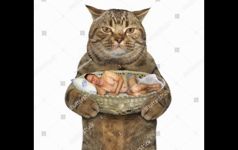 15 Stock Photos, die fast schon Avantgarde sind