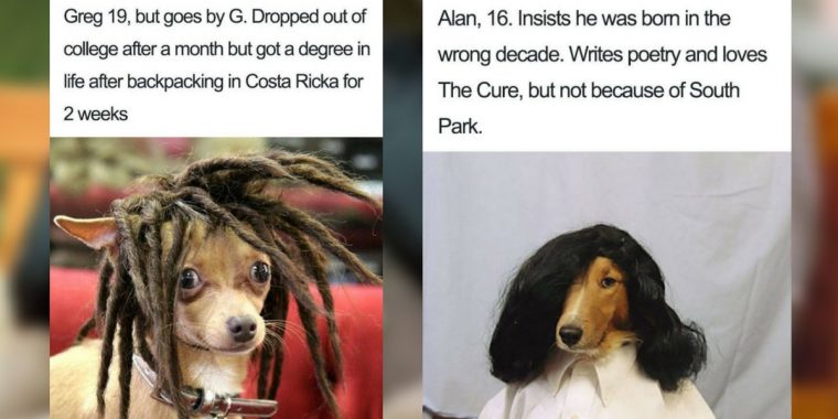 Diese 25 Dog Bios retten uns den Tag