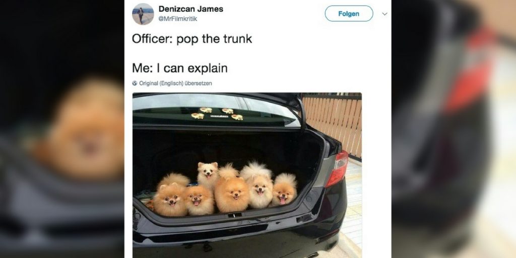 15 Tweets, die uns perfekt auf das Wochenende einstimmen