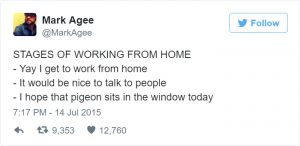 office-tweet